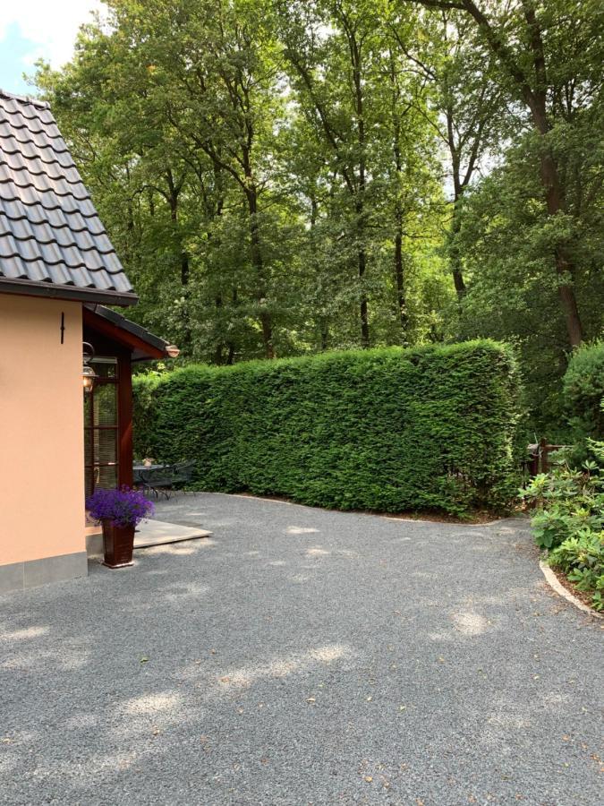 Romantisch Gastenverblijf 'Het Vogelhuisje' Люнтерен Экстерьер фото